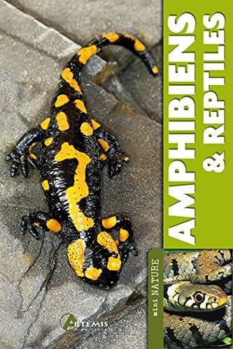 AMPHIBIENS & REPTILES, de COLLECTIF | portada del libro