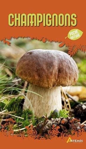 CHAMPIGNONS, de POLESE J-M | portada del libro