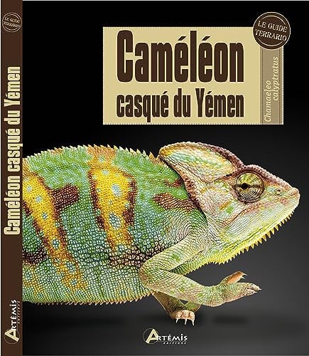 CAMELEON CASQUE DU YEMEN, de COLLECTIF | portada del libro