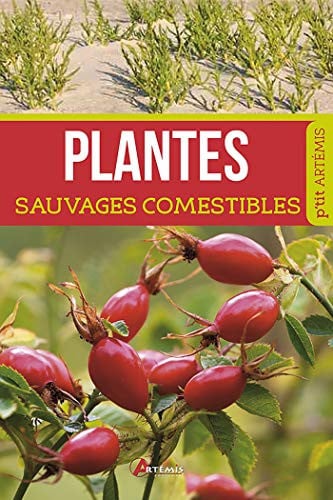 PLANTES SAUVAGES COMESTIBLES, de COLLECTIF | portada del libro