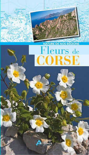 FLEURS DE CORSE, de COLLECTIF | portada del libro
