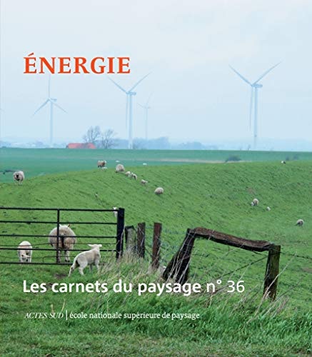 LES CARNETS DU PAYSAGE N° 36 ENERGIE, de Collectif | portada del libro