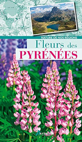 FLEURS DES PYRENEES, de COLLECTIF | portada del libro