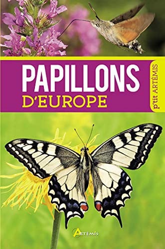 PAPILLONS D'EUROPE, de ALBOUY V | portada del libro