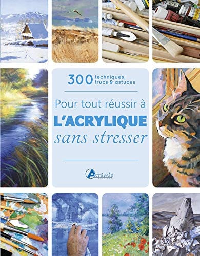 POUR TOUT REUSSIR A L'ACRYLIQUE SANS STRESSER, de COLLECTIF | portada del libro