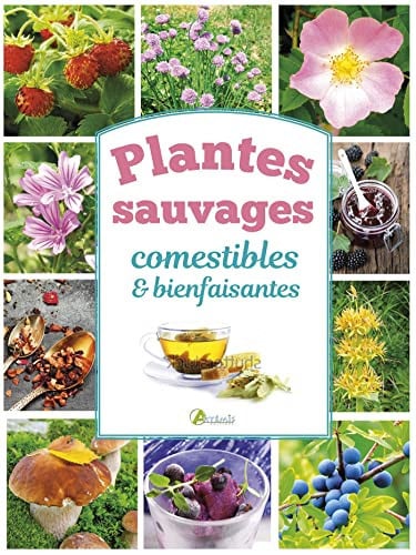 PLANTES SAUVAGES COMESTIBLES ET BIENFAISANTES, de COLLECTIF | portada del libro