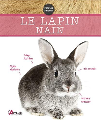 LAPIN NAIN, de COLLECTIF | portada del libro