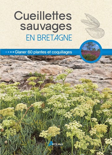 CUEILLETTES SAUVAGES EN BRETAGNE, de CHAVANNE PHILIP | portada del libro