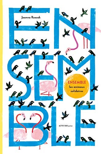 ENSEMBLE, de Joanna Rzezak | portada del libro