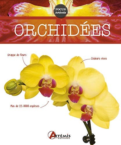 ORCHIDEES, de COLLECTIF | portada del libro