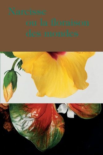 NARCISSE OU LA FLORAISON DES MONDES, de Hicham Berrada | portada del libro