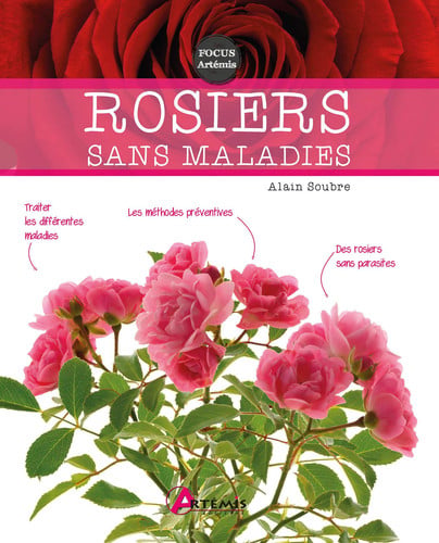 ROSIERS SANS MALADIES, de SOUBRE ALAIN | portada del libro