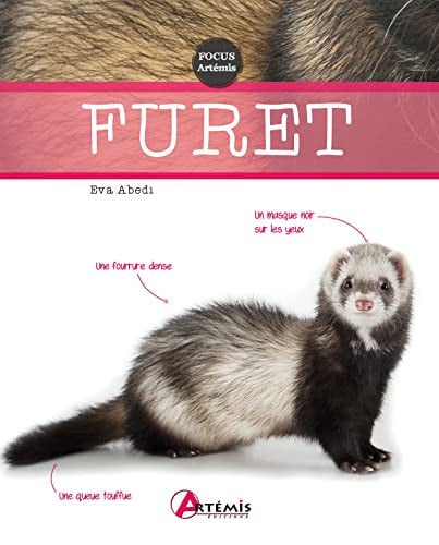 FURET, de COLLECTIF | portada del libro