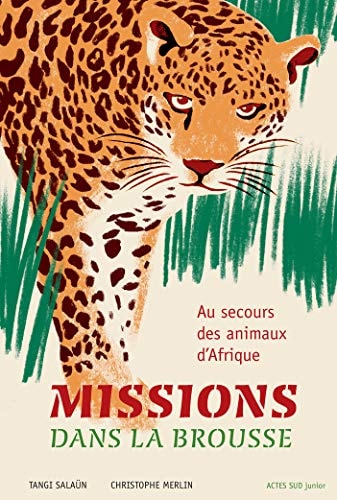 MISSIONS DANS LA BROUSSE, de Tangi Salaün | portada del libro