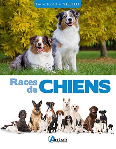 RACES DE CHIENS, de COLLECTIF | portada del libro