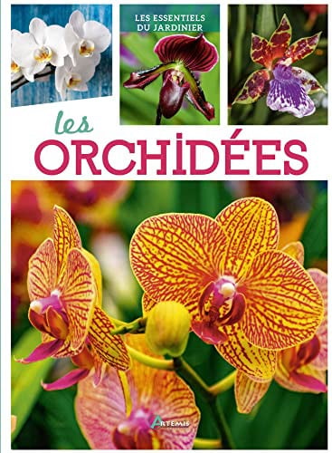ORCHIDEES, de LECOUFLE MARCEL | portada del libro