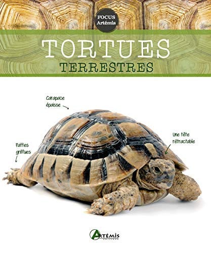 TORTUES TERRESTRES, de COLLECTIF | portada del libro