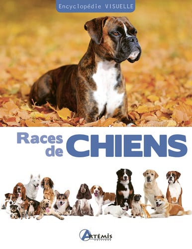 RACES DE CHIENS, de COLLECTIF | portada del libro