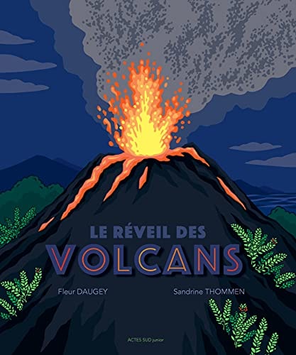 LE REVEIL DES VOLCANS, de Fleur Daugey | portada del libro