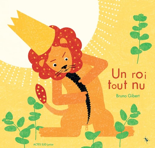 UN ROI TOUT NU, de Bruno Gibert | portada del libro