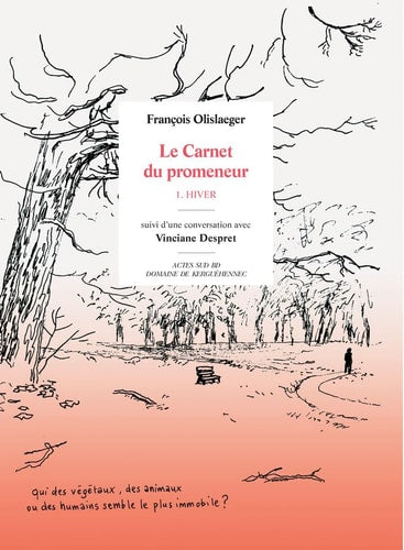 CARNET DU PROMENEUR, de François Olislaeger | portada del libro
