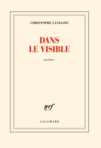 DANS LE VISIBLE, de Christophe Langlois | portada del libro