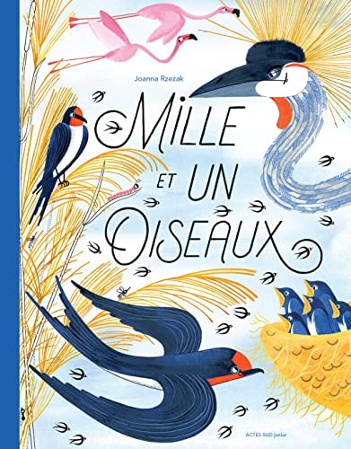 MILLE ET UN OISEAUX, de Joanna Rzezak | portada del libro