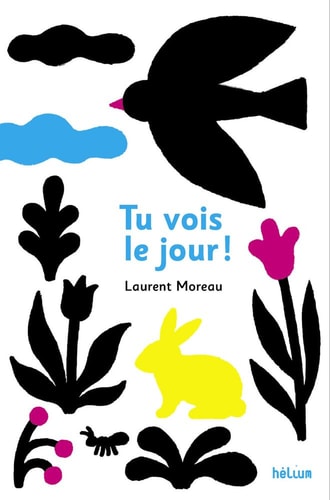 TU VOIS LE JOUR, de Laurent Moreau | portada del libro