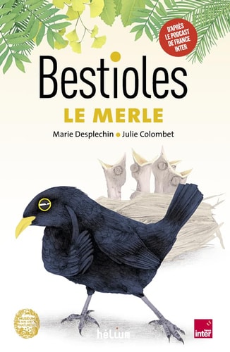 BESTIOLES LE MERLE, de Julie Colombet | portada del libro