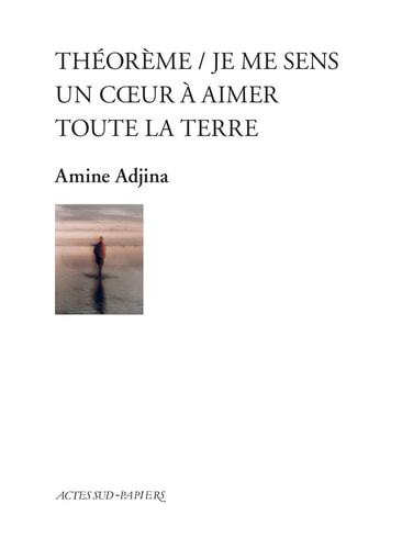 THEOREME JE ME SENS UN COUR A AIMER TOUTE LA TERRE, de Amine Adjina | portada del libro