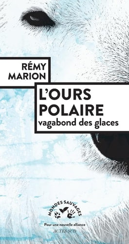 Le vagabond des glaces, de Rémy Marion | portada del libro