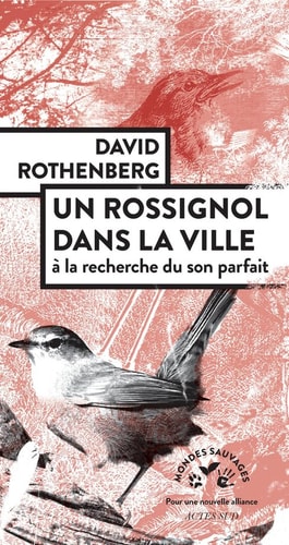 N ROSSIGNOL DANS LA VILLE (ECB), de David Rothenberg | portada del libro