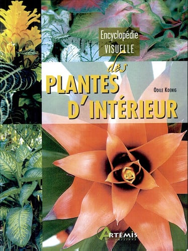 PLANTES D'INTERIEUR, de KOEMIG O | portada del libro