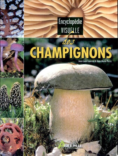 CHAMPIGNONS, de COLLECTIF | portada del libro