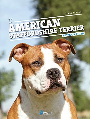 L'AMERICAN STAFFORDSHIRE TERRIER, de PACHETEAU C | portada del libro