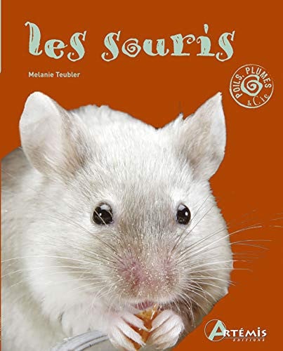 LES SOURIS, de COLLECTIF | portada del libro