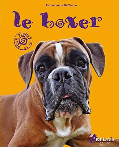 LE BOXER, de DAL SECCO E | portada del libro