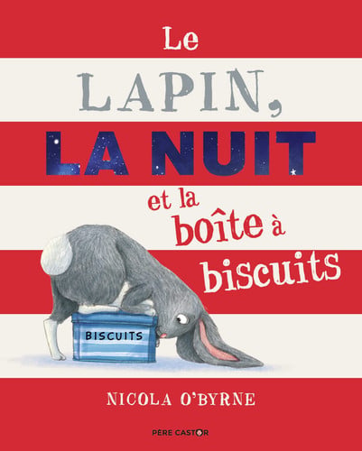 APIN, LA NUIT ET LA BOITE A B, de O'BYRNE NICOLA | portada del libro