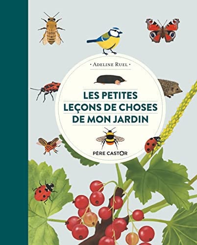 ES PETITES LECONS DE CHOSE, de RUEL ADELINE | portada del libro