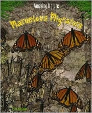 MARVELOUS MIGRATORS, de AA.VV. | portada del libro