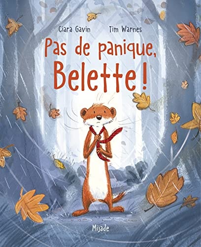 PAS DE PANIQUE BELETTE!, de Ciara Gavin | portada del libro