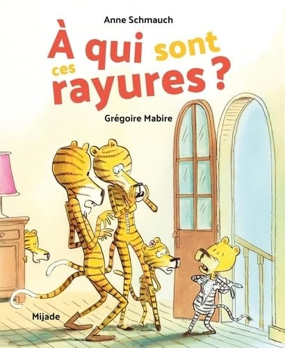 A QUI SONT CES RAYURES ?, de Anne Schmauch | portada del libro