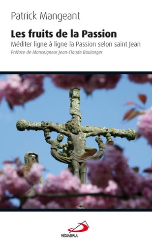 FRUITS DE LA PASSION LES, de Patrick Mangeant | portada del libro