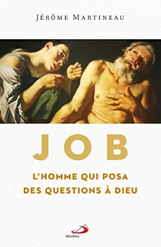 JOB L'HOMME QUI POSA DES QUESTIONS A DIEU, de Jérôme Martineau | portada del libro