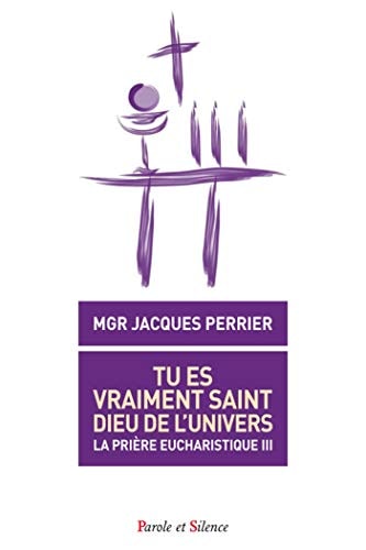 TU ES VRAIMENT SAINT DIEU DE L'UNIVERS, de Jacques Perrier | portada del libro
