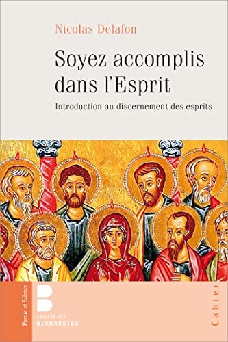 SOYEZ ACCOMPLIS DANS L'ESPRIT, de Nicolas Delafon | portada del libro
