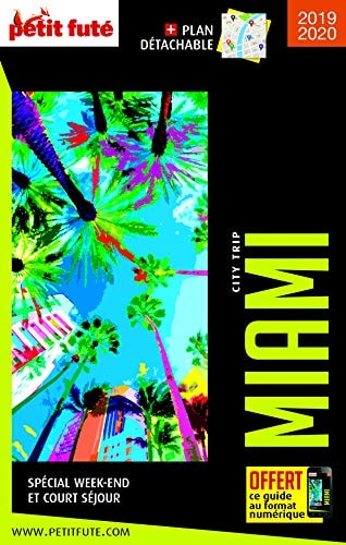 IAMI 2019 CITY TRIP PETIT FUTE + OFFRE, de Petit Futé | portada del libro
