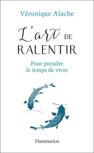 RT DE RALENTIR, de AIACHE VERONIQUE | portada del libro
