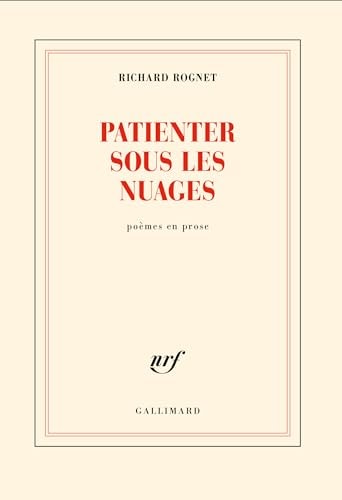 PATIENTER SOUS LES NUAGES, de Richard Rognet | portada del libro