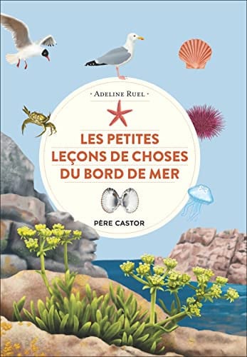 ES PETITES LECONS DE CHOSES D, de RUEL ADELINE | portada del libro